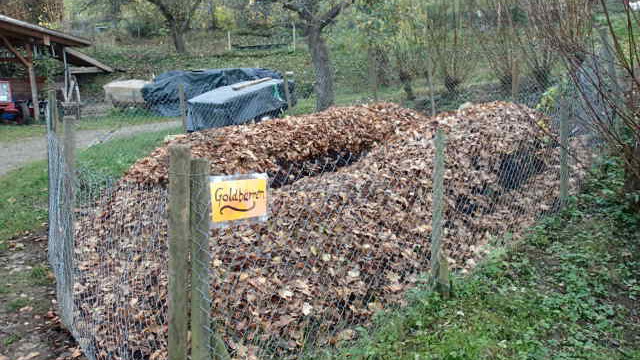 gut geschützt "verdauen" Millionen Kleinstwesen den frischgeschaufelten Haufen zu kostbarstem Humus