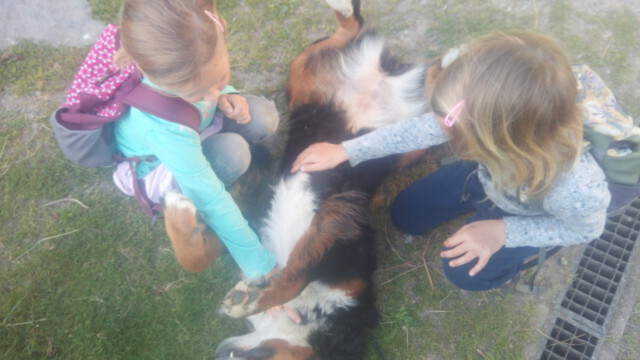 Auch Mira kommt auf ihre Kosten