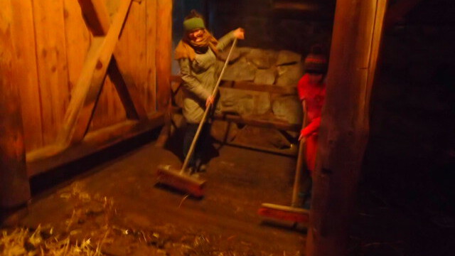 die Tiere lieben den sauberen Stall