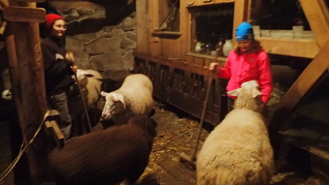 und stehen beim Fegen am liebsten im Weg rum