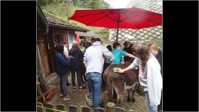 Internationale Umweltstudenten beim Tiere versorgen