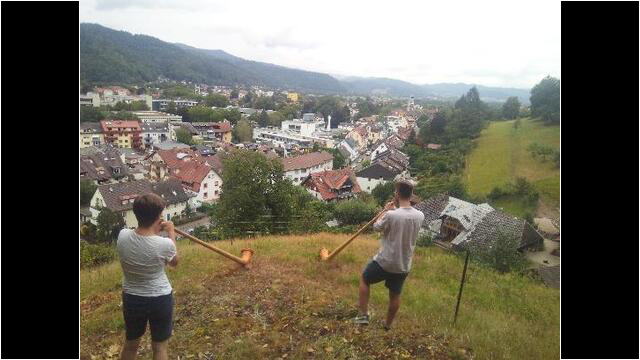 Alphörner im August