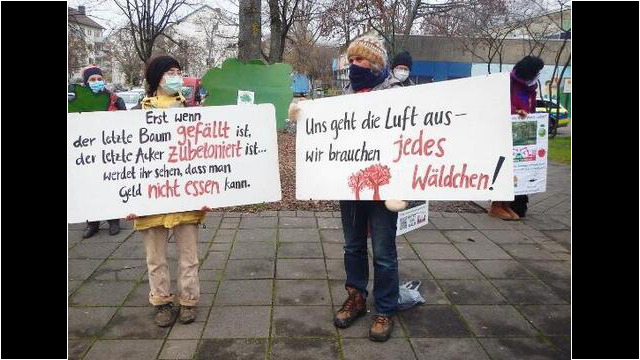 Ein Wäldchen soll doch weichen für den neuen Stadtteil
