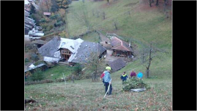 Bauernhof-Jahresgruppe