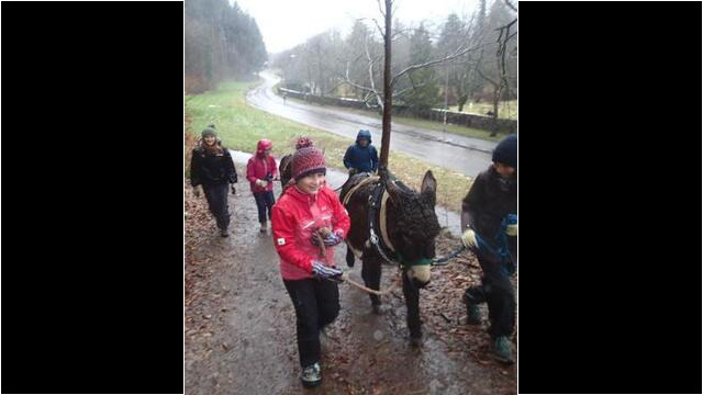 Mit den Eseln arbeiten
