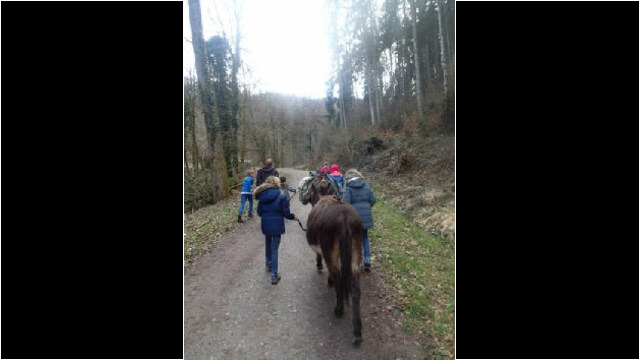 Bei der Eselwanderung