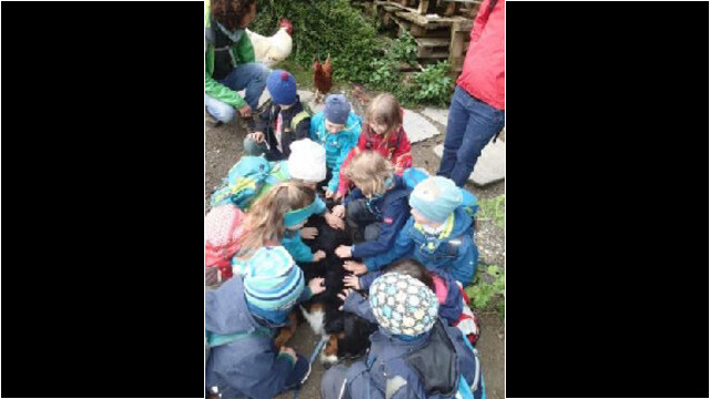 Tierbegegnung mit dem Hofhund