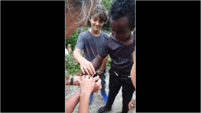 Tierbegegnung mit den Küken