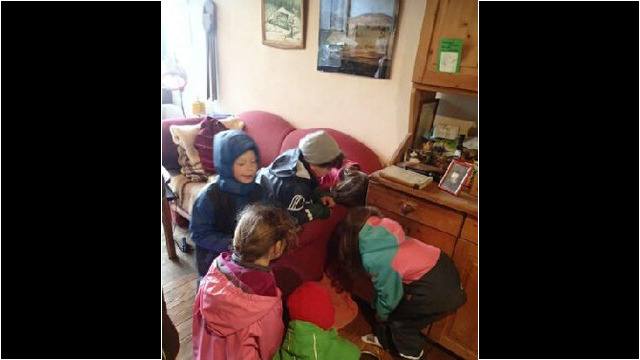 Tierbegegnung mit den Kätzchen