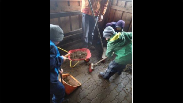 Zweimal täglich wird der Stall geputzt