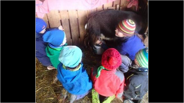 Lernen wo die Milch herkommt