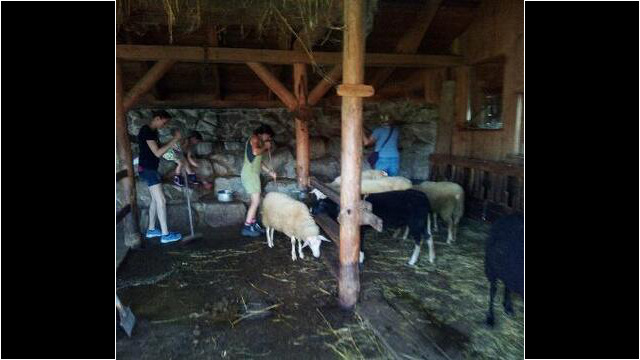 Eine Familie im Stall