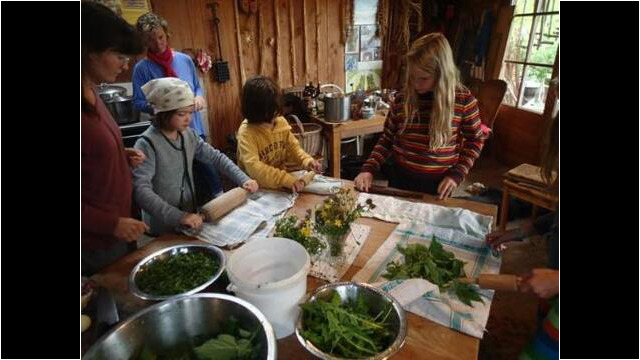 Wild- und Gartenkräuter kochen