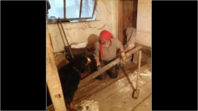 Der alte Kuhstall wird repariert