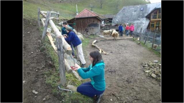 Ein anderer Zaun wird repariert