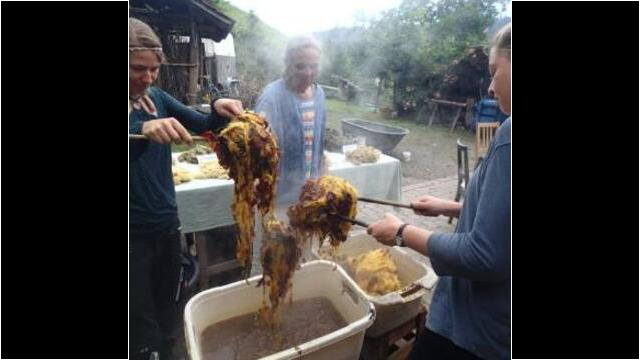 Beim Färben mit Pflanzen