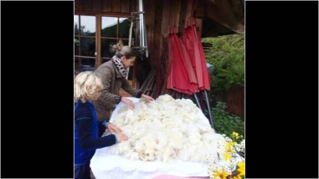 Hier wird Wolle gewaschen