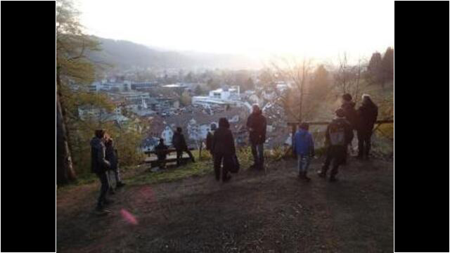 Den Vögeln lauschen