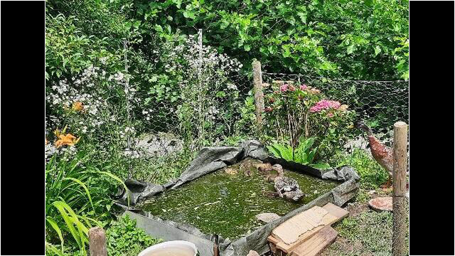 Den ganzen Sommer über nur ein Planschbecken