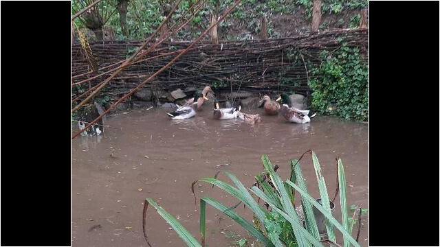 Im Oktober ist erstmals Wasser im Teich
