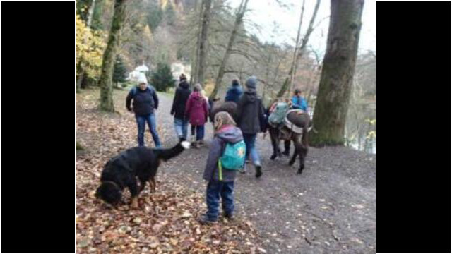 zum Beispiel die Eselwanderung