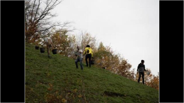 Und immer wieder, jahraus, jahrein zahlreiche ehrenamtliche Arbeitseinsätze zum Erhalt des Kleinods Kunzenhof