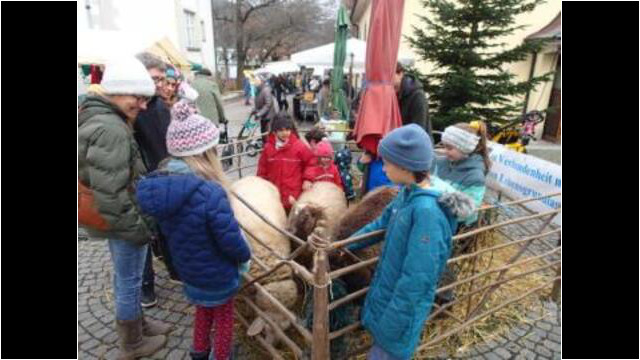 Weihnachtsmarkt Littenweiler mit unseren Schafen
