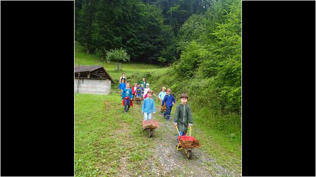 Der Weg zum Misthaufen