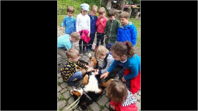 ...Hofhund knuddeln passt immer