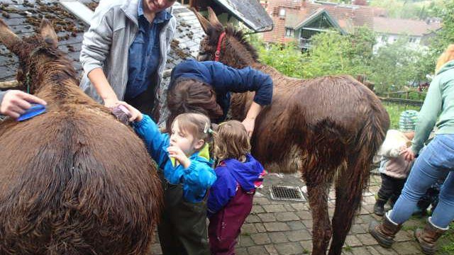 Kleinkindgruppe mit den Eseln Kleinkindgruppe mit den Eseln