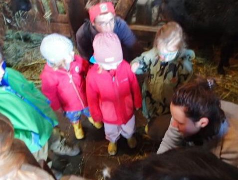 Die neue Eltern-Kleinkindgruppe Die neue Eltern-Kleinkindgruppe