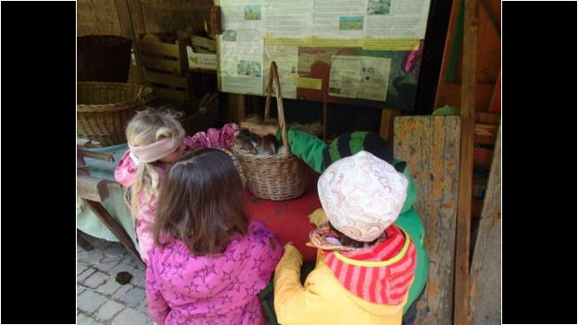 Begeisterte Kindergartenkinder Begeisterte Kindergartenkinder