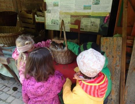 Begeisterte Kindergartenkinder Begeisterte Kindergartenkinder