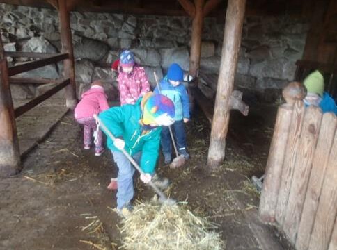 Kindergartenkinder bei der Stallarbeit Kindergartenkinder bei der Stallarbeit