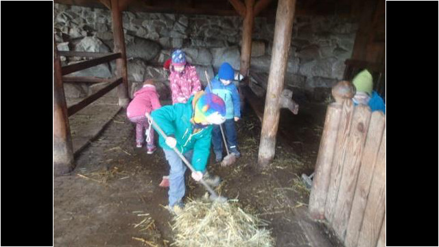 Kindergartenkinder bei der Stallarbeit Kindergartenkinder bei der Stallarbeit