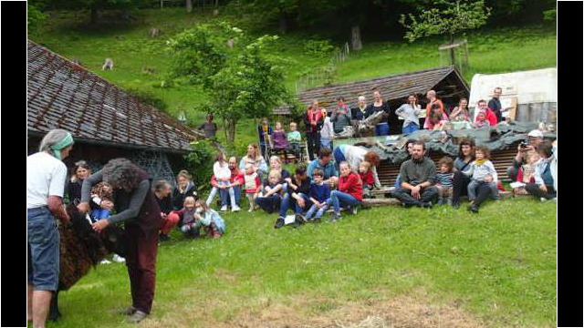 Das ganz große Schafschur-Wollefest mit zahlreichen Helferinnen und Helfern Das ganz große Schafschur-Wollefest mit zahlreichen Helferinnen und Helfern