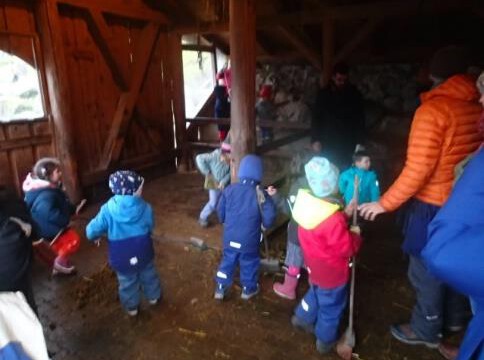 Die Kleinkindgruppe bei der Stallarbeit Die Kleinkindgruppe bei der Stallarbeit