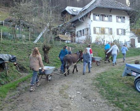Mit einem Esel den schweren Sandschubkarren den Berg hinauf Mit einem Esel den schweren Sandschubkarren den Berg hinauf