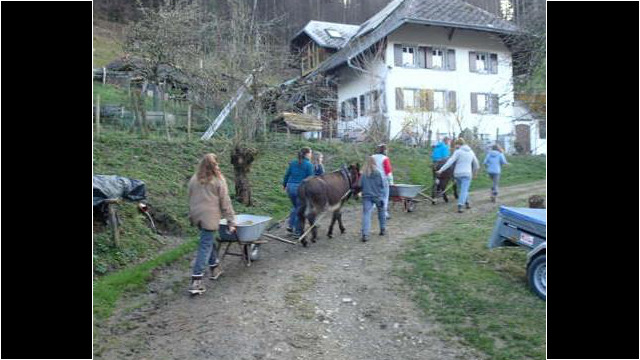 Mit einem Esel den schweren Sandschubkarren den Berg hinauf Mit einem Esel den schweren Sandschubkarren den Berg hinauf