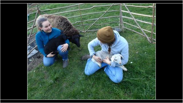 Ein schwarzes und ein weißes Schaf, zusammen mit Julia und Anna Ein schwarzes und ein weißes Schaf, zusammen mit Julia und Anna